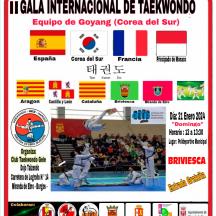 cartel-taekwondo-web.jpg